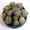 Buy top quality jack ripper kush online