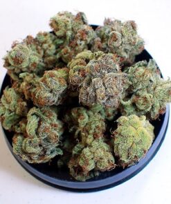 Buy top quality jack ripper kush online