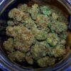 Buy top quality lemon haze online