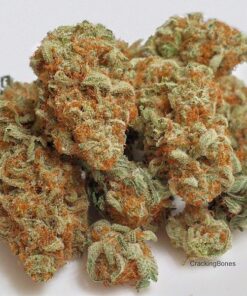 Buy best quality quantum kush online