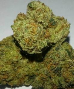 Buy top quality bubblegum weed strain online