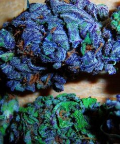 Buy top quality blueberry kush online