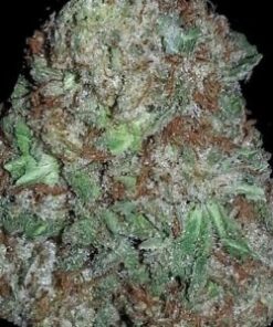 AK-47 (1 ounce)