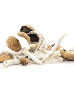 Buy top quality Arenal Volcano Mushrooms Online | 420 Weed