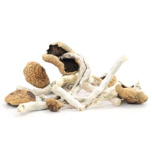 Buy top quality Arenal Volcano Mushrooms Online | 420 Weed