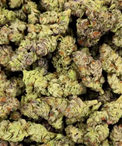 Buy Chernobyl Weed Strain Online