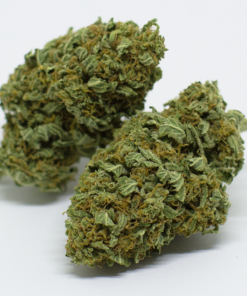 Buy skunk weed strain online