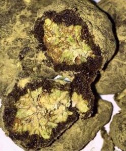 GIRL SCOUT COOKIES MOONROCKS