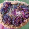 Buy top quality grand daddy purple moonrocks online.