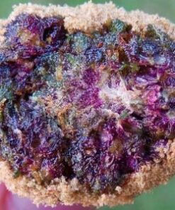 Buy top quality grand daddy purple moonrocks online.