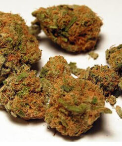 Buy top quality orange kush online