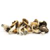 Buy best quality Malabar Mushrooms Online