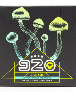 Buy best Dark Chocolate Mint Square by Room 920 Online