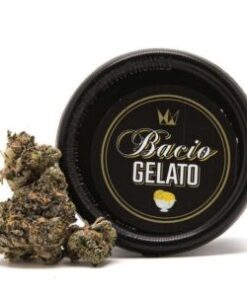 Buy BACIO GELATO