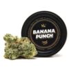 Buy BANANA PUNCH
