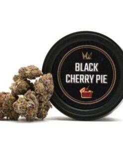 Buy Black Cherry Pie