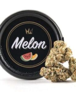 BUY MELON