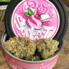 Buy PINK SORBET