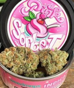 Buy PINK SORBET