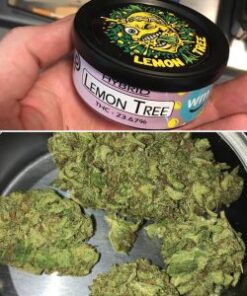 Buy LEMON TREE cannabis strain