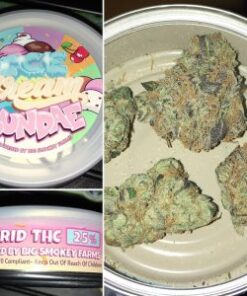 BUY ICE CREAM SUNDAE WEED STRAIN