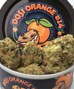 Buy DOSI ORANGE #14