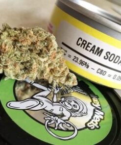 Buy Cream soda weed strain online