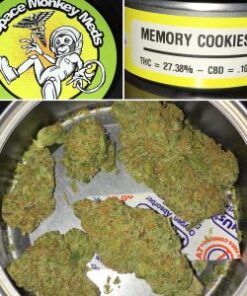 Buy MEMORY COOKIES