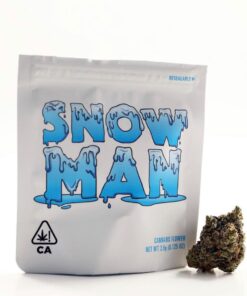 Buy Snow Man Cookies