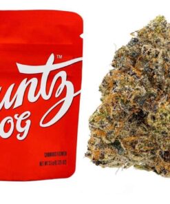 Buy Runtz OG