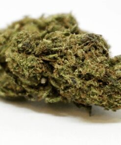 Buy best quality ACDC online