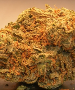 Buy top quality Alaskan Thunder fuck online