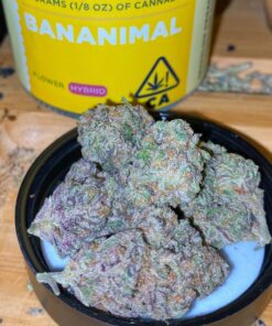 BANANIMAL STRAIN