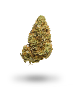 Order bruce banner strain online