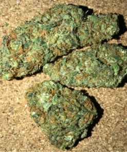 Bubble Gum