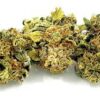 Buy top quality warlock CBD online