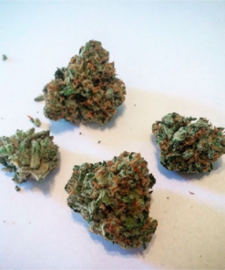 Order top quality ghost train haze online