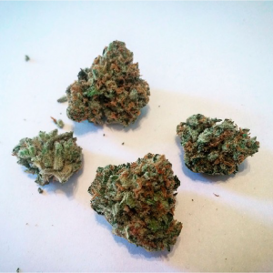 Order top quality ghost train haze online