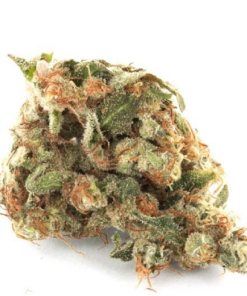 Buy top quality fire og online