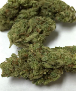 Gorilla Glue