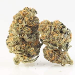 buy top quality girl scout cookies online