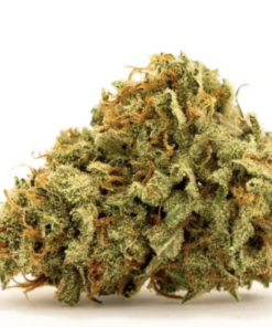 Order top quality Willie nelson strain online