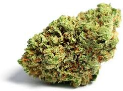 Buy gorilla glue weed strain online