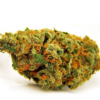 buy top quality jack herer strain online