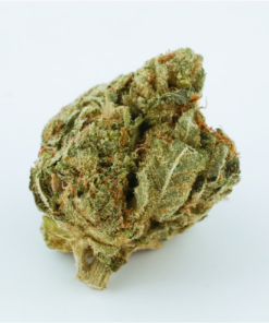 Buy top quality king tut strain online