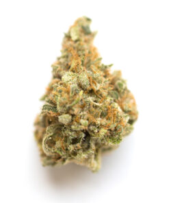 Buy top quality Mr nice guy strain online
