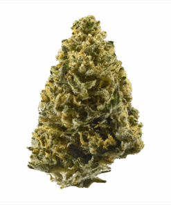 Buy top quality northern lights strain online
