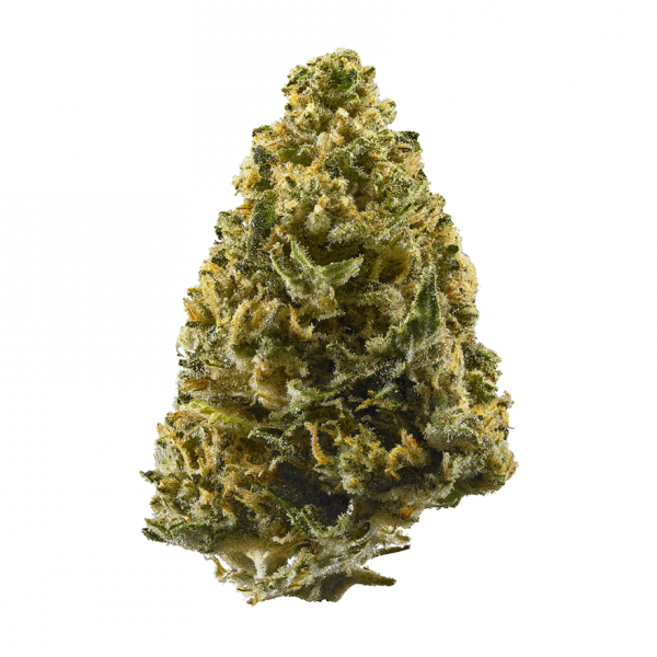 Buy top quality northern lights strain online