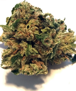 Buy top quality nova og strain online