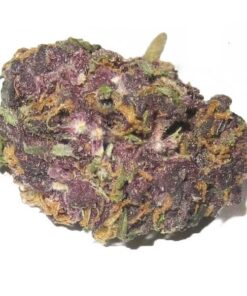Purple Kush